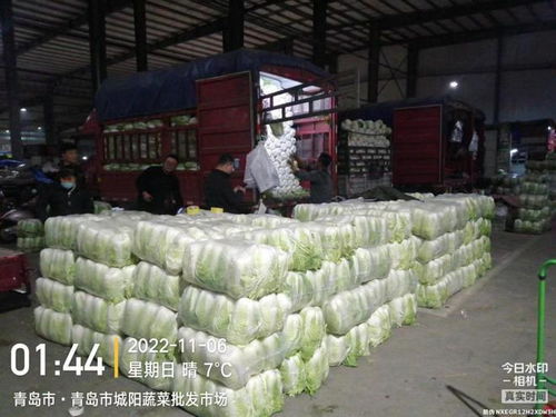 青岛五大批发市场保障市民“菜篮子”供应，零售价格持续走低